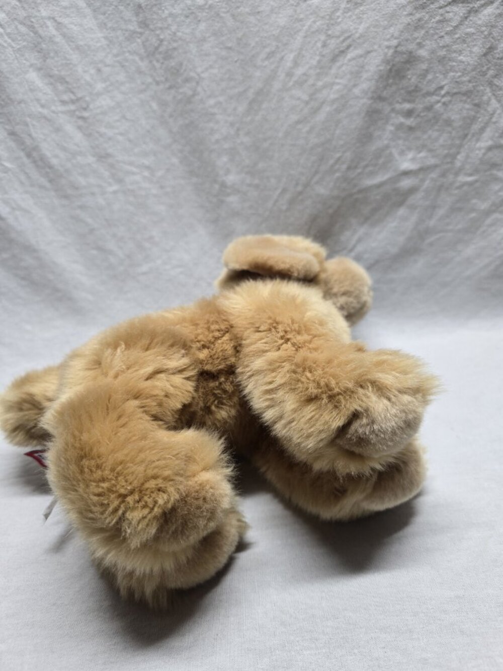 Douglas Cuddle Toys Chap The Golden Retriever # 1724 Stuffed Animal Toy 2016 - Picture 10 of 11
